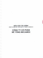 Báo cáo tài chính năm 2012 (đã kiểm toán) - Công ty cổ phần Bê tông Becamex