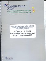 Báo cáo tài chính công ty mẹ quý 2 năm 2015 (đã soát xét) - Công ty cổ phần Xuất nhập khẩu Thủy sản Cửu Long An Giang