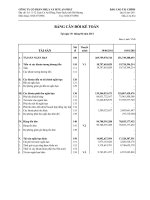 Báo cáo tài chính công ty mẹ quý 2 năm 2011 - Công ty Cổ phần Nhựa và Môi trường xanh An Phát