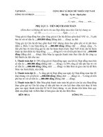 Mẫu phụ lục quy định về tiến độ thanh toán theo hợp đồng