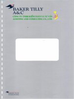 Báo cáo tài chính quý 2 năm 2013 (đã soát xét) - Công ty cổ phần Bê tông Becamex