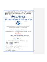 Bản cáo bạch năm 2010 - Công ty cổ phần Xuất nhập khẩu Thủy sản Cửu Long An Giang