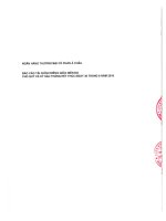 Báo cáo tài chính công ty mẹ quý 2 năm 2010 (đã soát xét) - Ngân hàng Thương mại Cổ phần Á Châu