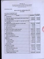 Báo cáo tài chính quý 2 năm 2009 - Ngân hàng Thương mại Cổ phần Á Châu