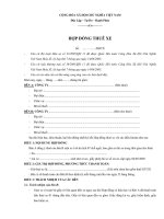 Mẫu hợp đồng thuê xe