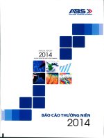 Báo cáo thường niên năm 2014 - Công ty cổ phần Chứng khoán An Bình