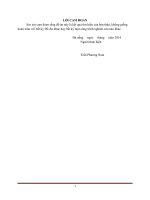 Nghiên cứu cải thiện chất lượng hệ thống vô tuyến bằng các kỹ thuật phân tập