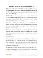 Những kiểu tóc xinh yêu để chụp ảnh áo dài ngày Tết