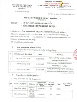 Báo cáo tình hình quản trị công ty - Công ty Cổ phần Nhựa và Môi trường xanh An Phát