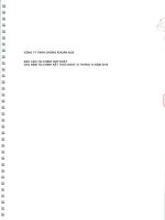 Báo cáo tài chính hợp nhất năm 2010 (đã kiểm toán) - Công ty TNHH Chứng khoán ACB