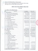 Báo cáo tài chính năm 2008 - Công ty Cổ phần Bê tông ly tâm An Giang