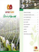 Báo cáo thường niên năm 2010 - Công ty Cổ phần Nhựa và Môi trường xanh An Phát