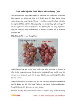 Cách phân biệt nho Ninh Thuận và nho Trung Quốc