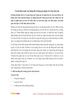 Cách làm mặt nạ lòng đỏ trứng gà giúp trẻ hóa làn da