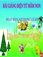 Bài giảng điện tử mầm non lớp Chồi đề tài KPXH: Trò chuyện về ngày tết nguyên đán