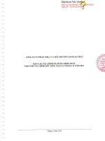 Báo cáo tài chính công ty mẹ năm 2013 (đã kiểm toán) - Công ty Cổ phần Nhựa và Môi trường xanh An Phát