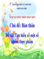 Bài giảng điện tử mầm non lớp Chồi đề tài PTNT: Tìm hiểu về một số nhóm thực phẩm