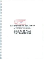 Báo cáo tài chính quý 2 năm 2012 (đã soát xét) - Công ty Cổ phần Thủy sản Mekong