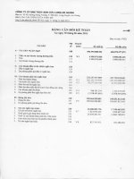 Báo cáo tài chính quý 2 năm 2013 - Công ty cổ phần Xuất nhập khẩu Thủy sản Cửu Long An Giang