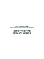 Báo cáo tài chính năm 2015 (đã kiểm toán) - Công ty Cổ phần Thủy sản Mekong