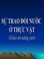 Sự trao đổi nước ở thực vật