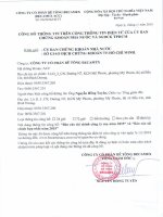 Báo cáo tài chính hợp nhất năm 2015 (đã kiểm toán) - Công ty cổ phần Bê tông Becamex