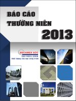 Báo cáo thường niên năm 2013 - Công ty cổ phần Bê tông Becamex