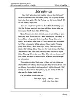 thiết kế – xây dựng mới các nhà máy sản xuất bột xenluloza  