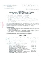 Nghị quyết đại hội cổ đông ngày 24-3-2010 - Công ty Cổ phần Thủy sản Mekong