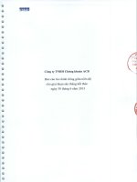 Báo cáo tài chính công ty mẹ quý 2 năm 2013 (đã soát xét) - Công ty TNHH Chứng khoán ACB
