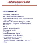 BAI GIANG HE CO XUONG (musculoskeletal system)