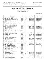 Báo cáo tài chính hợp nhất quý 1 năm 2012 - Công ty Cổ phần Nhựa và Môi trường xanh An Phát