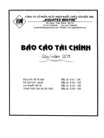 Báo cáo tài chính quý 1 năm 2011 - Công ty Cổ phần Xuất nhập khẩu Thủy sản Bến Tre
