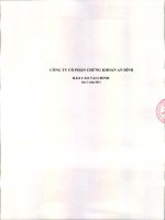 Báo cáo tài chính quý 2 năm 2013 - Công ty cổ phần Chứng khoán An Bình