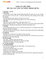 Giáo án lớp chồi đề tài Các con vật sống trong rừng