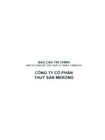 Báo cáo tài chính năm 2013 (đã kiểm toán) - Công ty Cổ phần Thủy sản Mekong