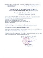 Báo cáo tài chính quý 1 năm 2016 - Công ty Cổ phần Xuất nhập khẩu Thủy sản Bến Tre