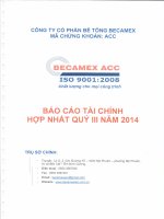 Báo cáo tài chính hợp nhất quý 3 năm 2014 - Công ty cổ phần Bê tông Becamex