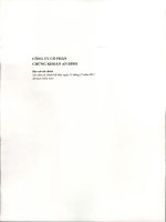 Báo cáo tài chính năm 2011 (đã kiểm toán) - Công ty cổ phần Chứng khoán An Bình