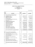 Báo cáo tài chính công ty mẹ năm 2010 (đã kiểm toán) - Công ty Cổ phần Nhựa và Môi trường xanh An Phát