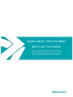 Báo cáo tài chính năm 2006 (đã kiểm toán) - Ngân hàng Thương mại cổ phần An Bình