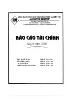Báo cáo tài chính quý 4 năm 2012 - Công ty Cổ phần Xuất nhập khẩu Thủy sản Bến Tre