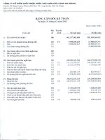 Báo cáo tài chính quý 4 năm 2012 - Công ty cổ phần Xuất nhập khẩu Thủy sản Cửu Long An Giang