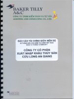Báo cáo tài chính quý 2 năm 2011 (đã soát xét) - Công ty cổ phần Xuất nhập khẩu Thủy sản Cửu Long An Giang