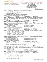 Đề thi thử THPT Quốc gia môn Hóa học tháng 6/2016 trường THPT Trần Hưng Đạo, TP. Hồ Chí Minh