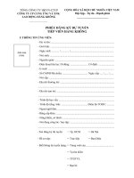 Mẫu phiếu đăng ký dự tuyển tiếp viên hàng không Vietnam Airlines