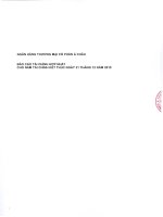 Báo cáo tài chính hợp nhất năm 2010 (đã kiểm toán) - Ngân hàng Thương mại Cổ phần Á Châu