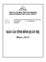 Báo cáo tình hình quản trị công ty - Công ty Cổ phần Thủy sản Mekong