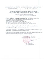 Báo cáo tài chính quý 1 năm 2015 - Công ty Cổ phần Xuất nhập khẩu Thủy sản Bến Tre