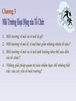 Môi trường hoạt động của tổ chức